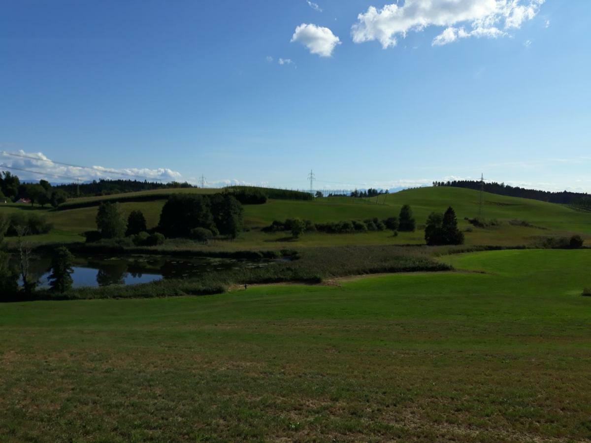 Schoene Einzimmer Wohnung Zwischen Bodensee Und Allgaeu Neukirch  Exterior foto