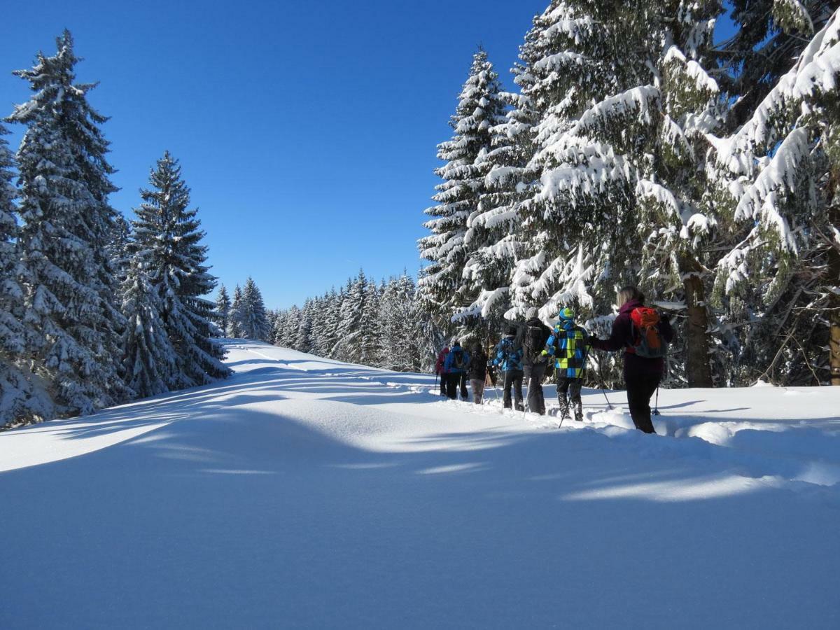 Schoene Einzimmer Wohnung Zwischen Bodensee Und Allgaeu Neukirch  Exterior foto